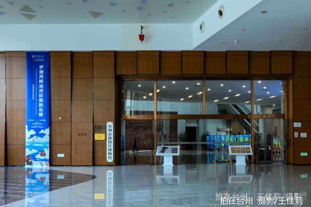 路桥博物馆：千年商脉的影视文化窗(图2)