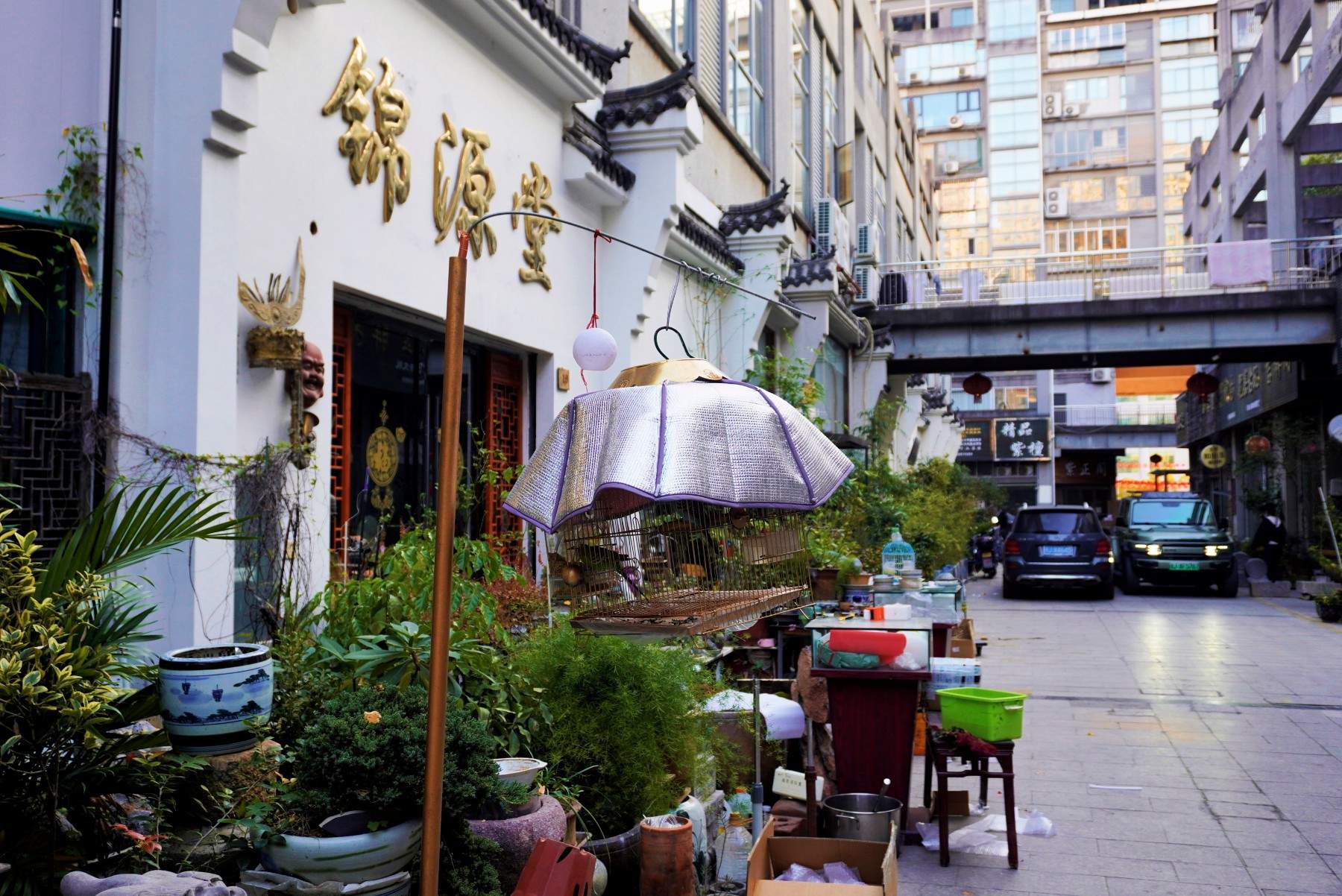 路桥古玩城:商圈核心的“古今交融”影视道具库(图9) 路桥古玩城:商圈核心的“古今交融”影视道具库(图9)