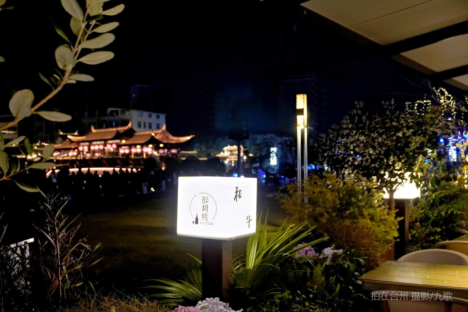 路桥醉胡桃餐厅：醉入胡桃之境，开启微短剧拍摄新旅程(图2)