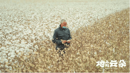 纪录电影《地上的云朵》定档５月７日,用镜头写一首新疆棉的现实诗篇(图4)