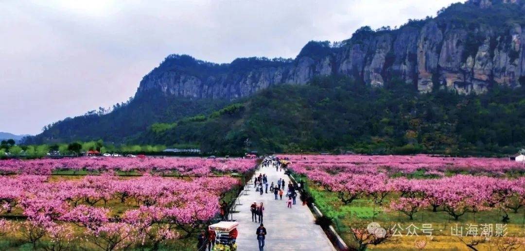 天台·后岸村：十里铁甲龙下的山水诗画影视外景地(图1)