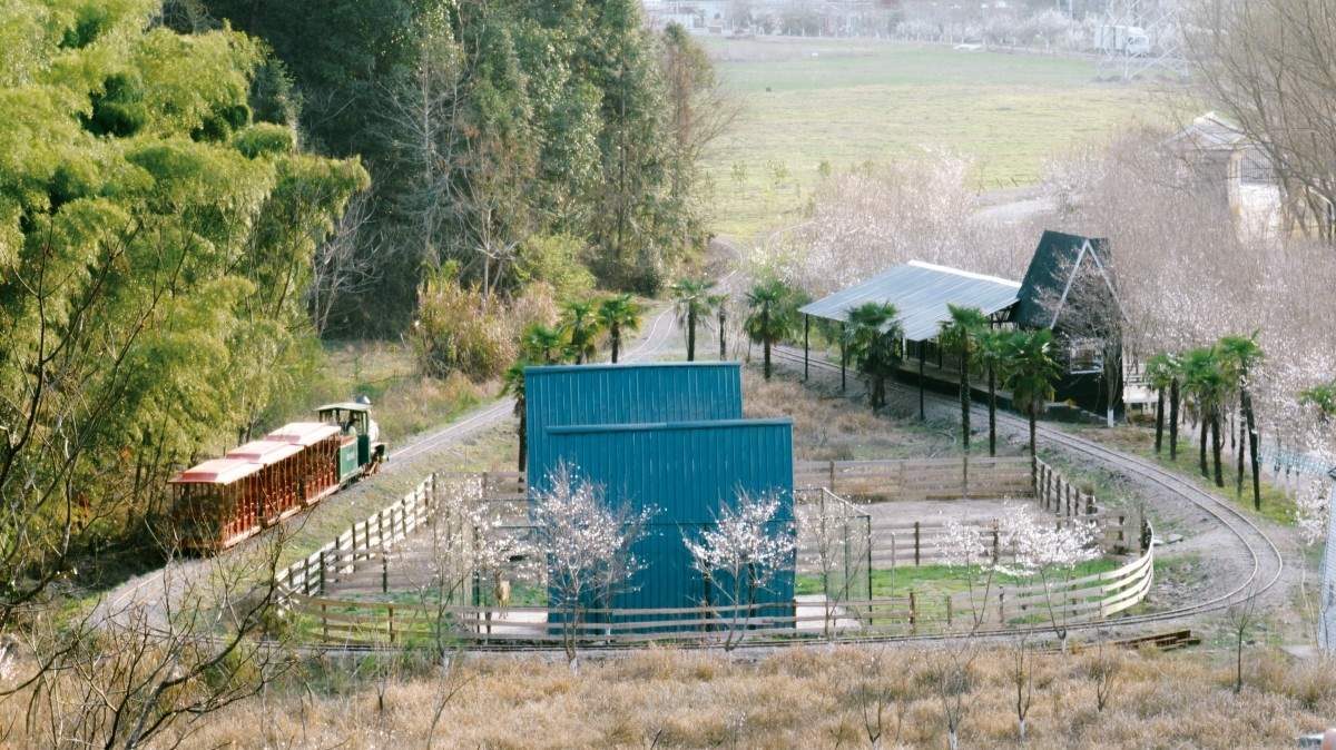 田园牧歌入镜来：天台朱莉农场，影视创作的生态画境