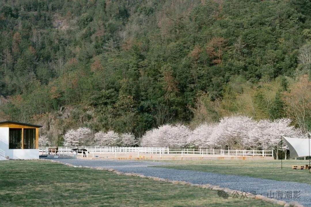 田园牧歌入镜来：天台朱莉农场，影视创作的生态画境(图4)
