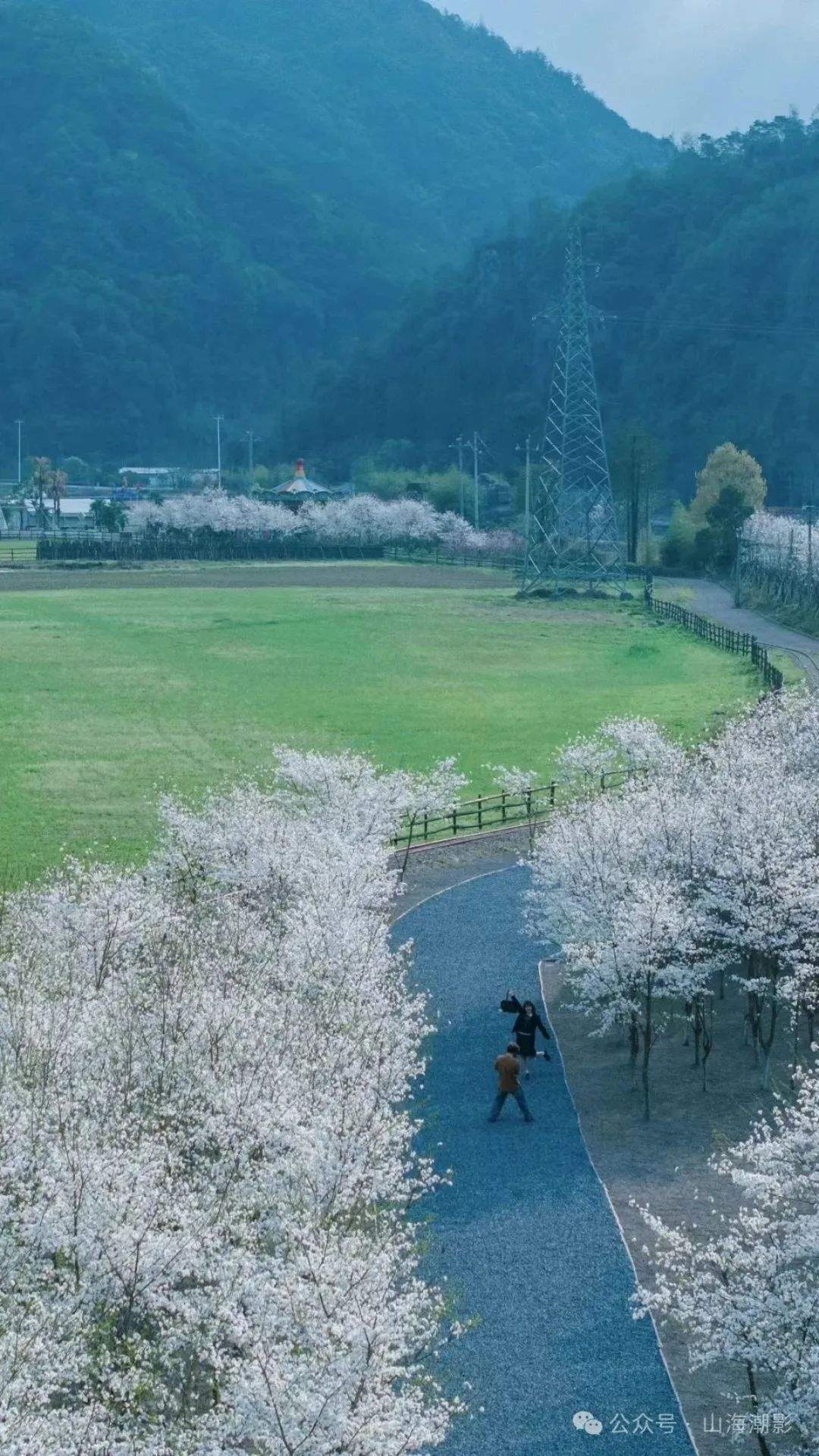 田园牧歌入镜来：天台朱莉农场，影视创作的生态画境(图5)