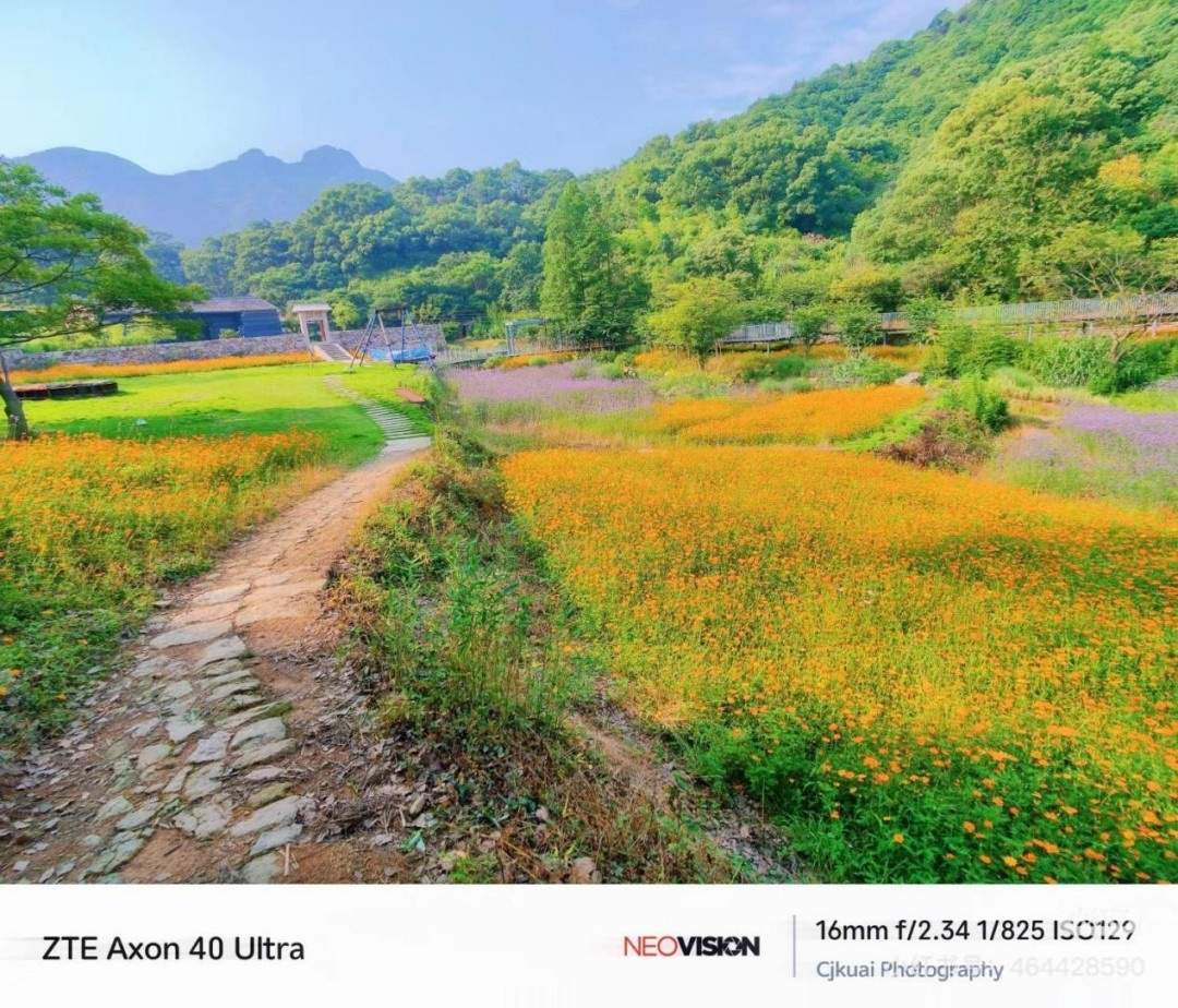 路桥区桐屿凉溪古道：藏于浙东南的千年驿道秘境