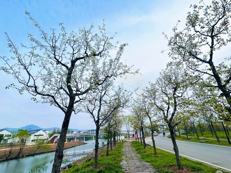 螺洋水滨村—乡村风情的影视外景宝藏