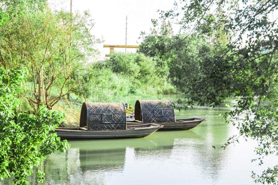 南浦湿地公园：台州路桥的江南水墨生态影棚