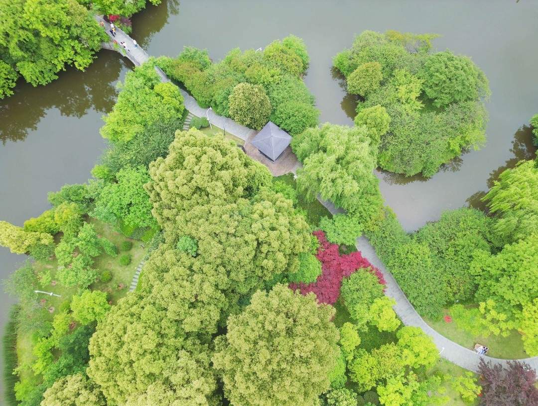 都市绿肺 光影画卷——路桥中央山公园一期影视外景