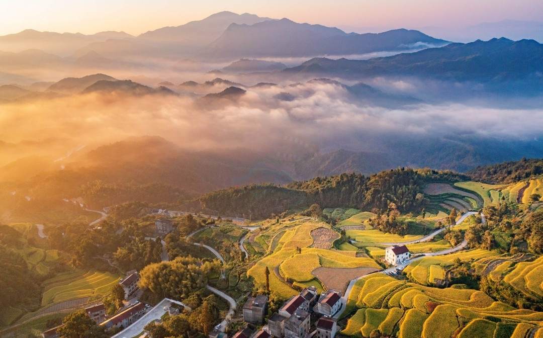 天台南屏莲花梯田：层叠绿浪里的农耕诗画 