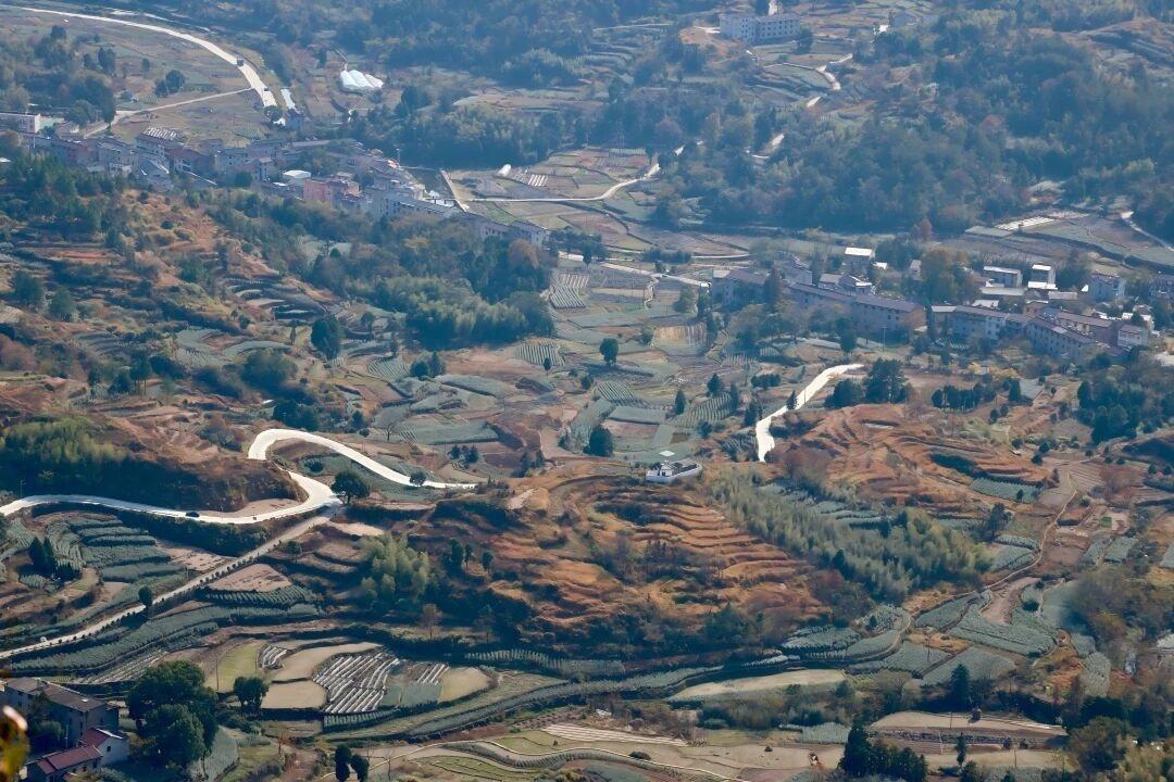 天台南屏莲花梯田：层叠绿浪里的农耕诗画 (图5)