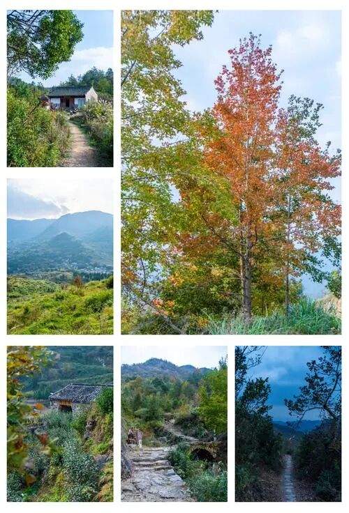 天台南黄古道：千年商贸道上的枫火传奇 —— 浙东 “活态历史长廊”，影视镜头里的 “行旅名场面制造机”(图1)