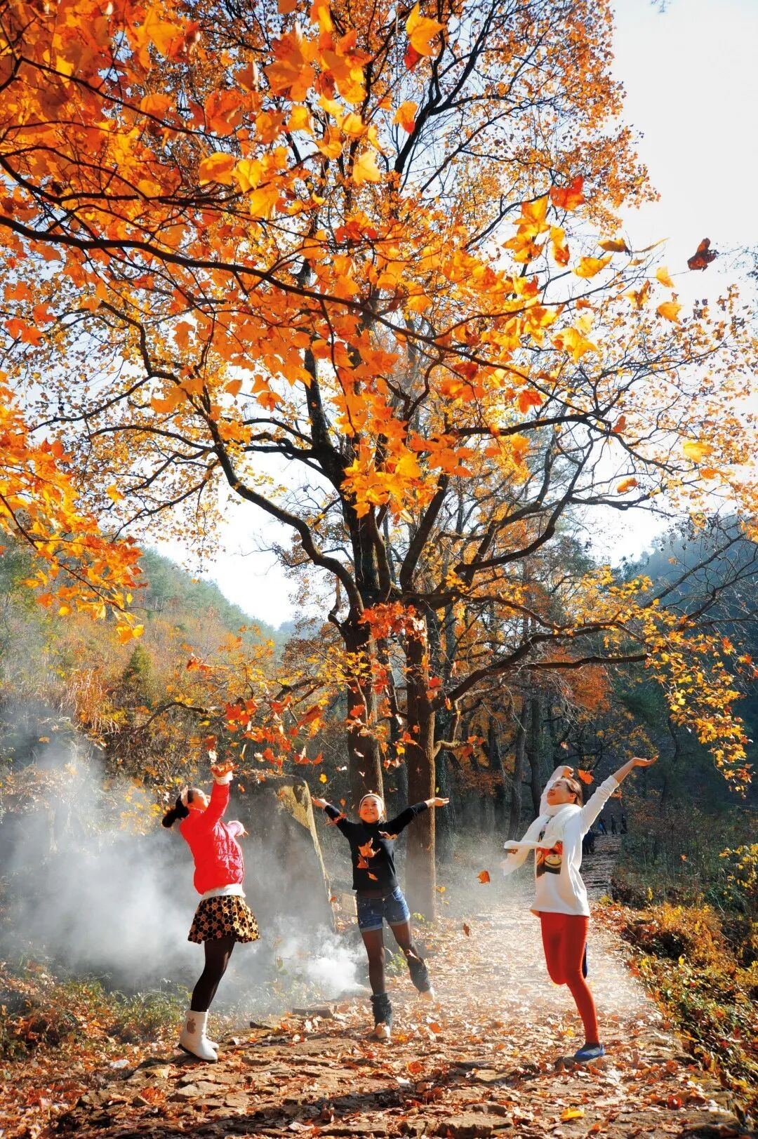 天台南黄古道：千年商贸道上的枫火传奇 —— 浙东 “活态历史长廊”，影视镜头里的 “行旅名场面制造机”(图5)