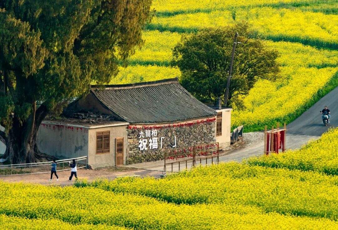 临海望溪谷：江南街道的 “溪谷双景” | 自然肌理赋能影视创作(图2)