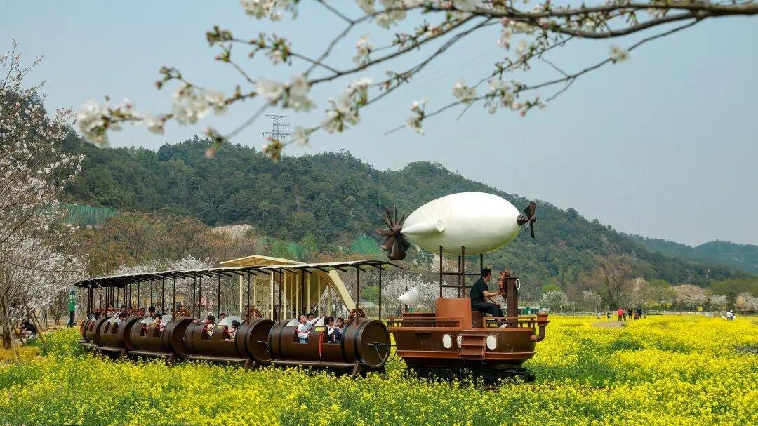 临海望溪谷：江南街道的 “溪谷双景” | 自然肌理赋能影视创作(图5)