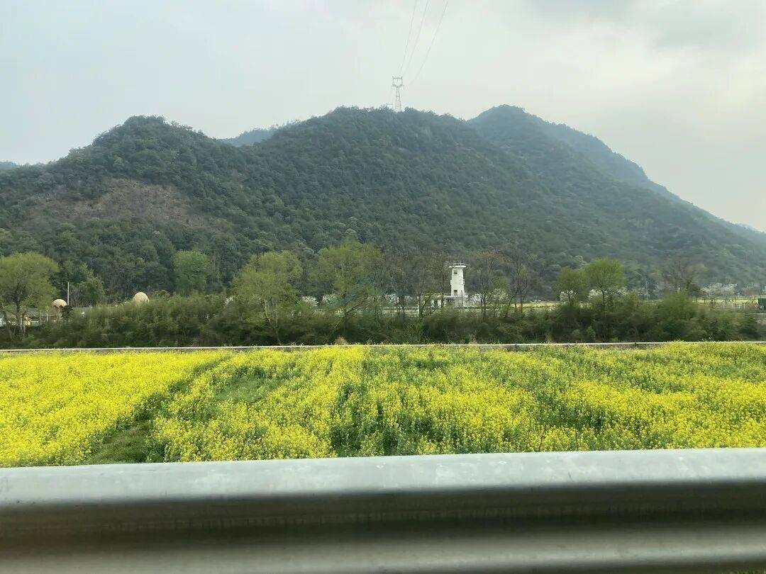 临海望溪谷：江南街道的 “溪谷双景” | 自然肌理赋能影视创作(图10)