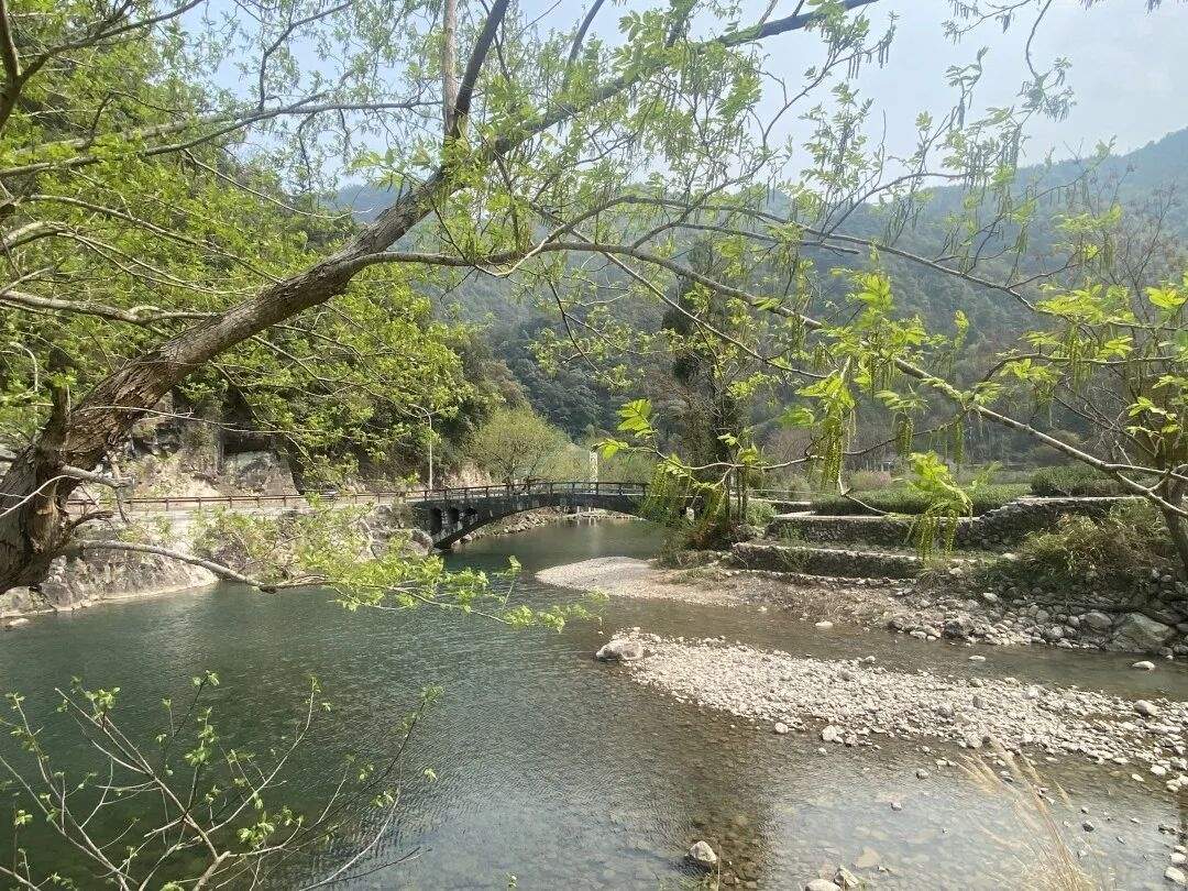 临海望溪谷：江南街道的 “溪谷双景” | 自然肌理赋能影视创作(图17)