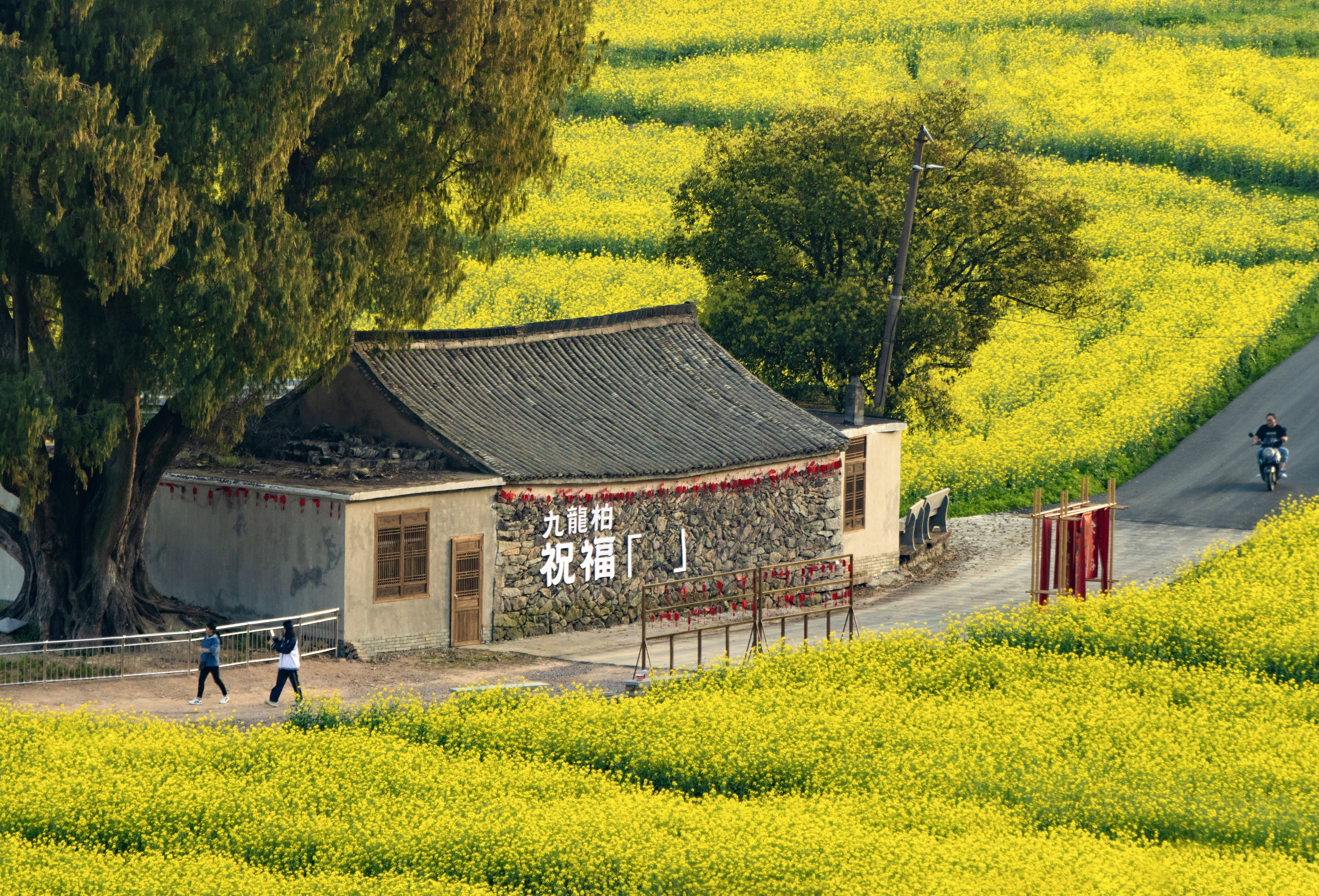 临海望溪谷：江南街道的 “溪谷双景” | 自然肌