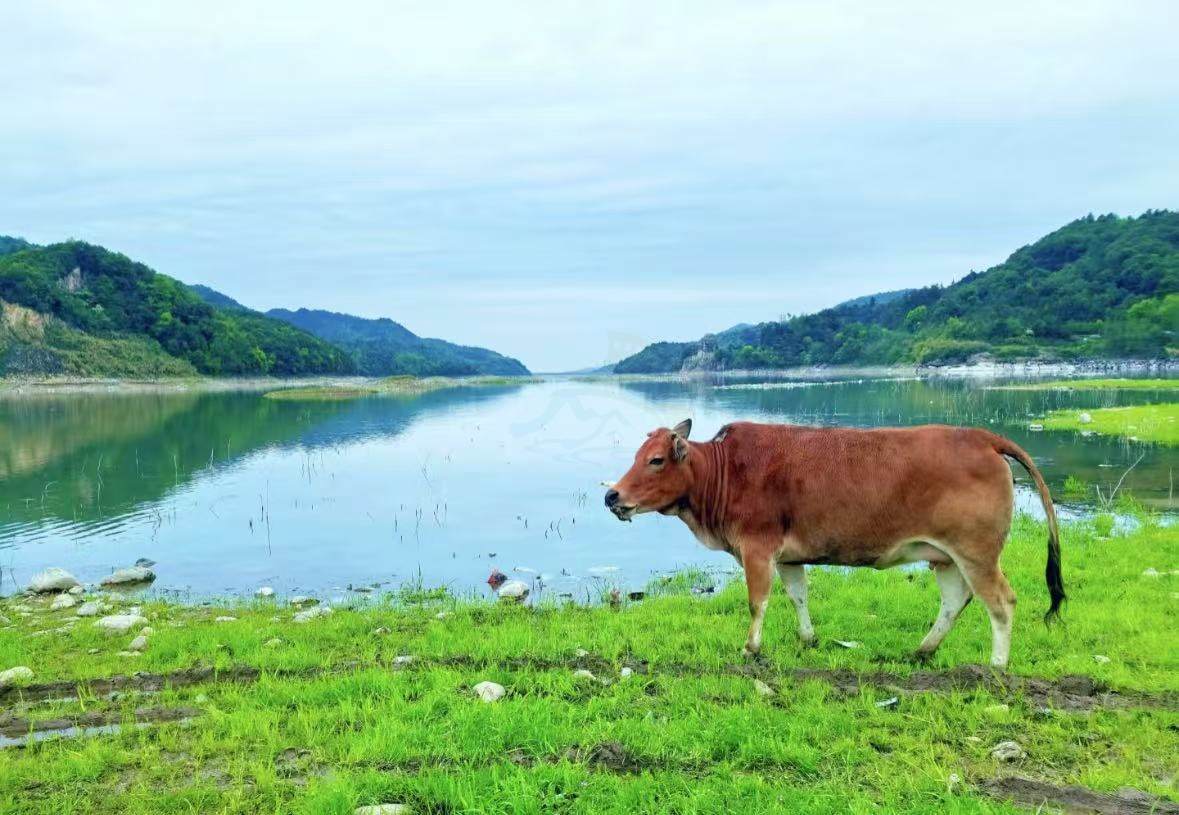 临海杜桥溪口水库|原生态露营地，影视里“松弛感山