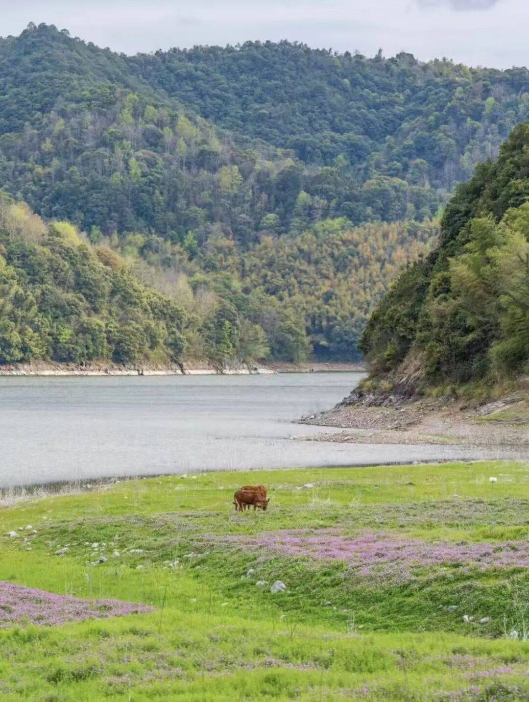 临海杜桥溪口水库|原生态露营地，影视里“松弛感山野生活”的真实样本(图6)