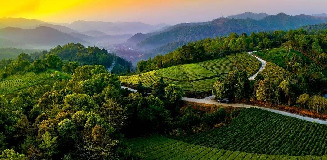 岭根村的影视感：百岁坊、古驿道、将军故居，每处都有戏(图1)