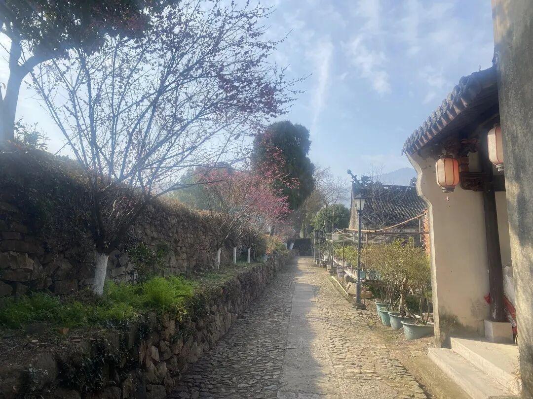 临海桃渚古城|江南明代抗倭卫所活标本，影视战争场景的真实模板(图11)