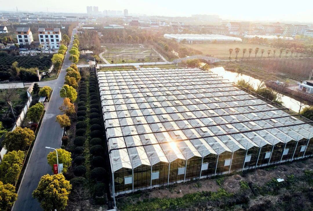 路桥新桥镇金大田影视外景基地|园林・乡苑・书院・度假村，全业态影视取景地(图2)