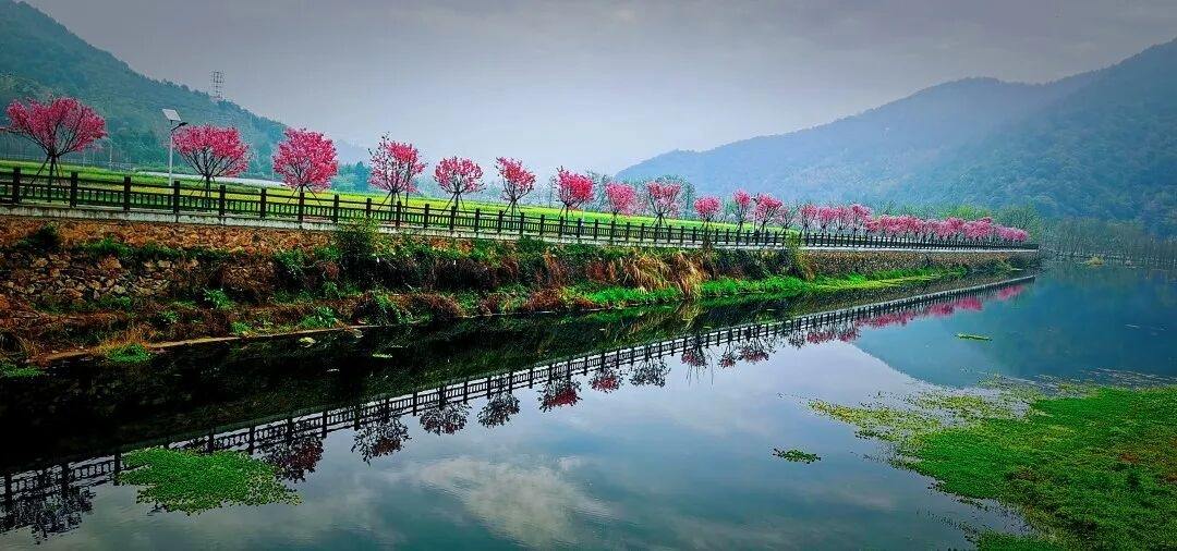 临海小芝溪下网红坝：“水韵+乡野”双buff的影视场景富矿(图2)