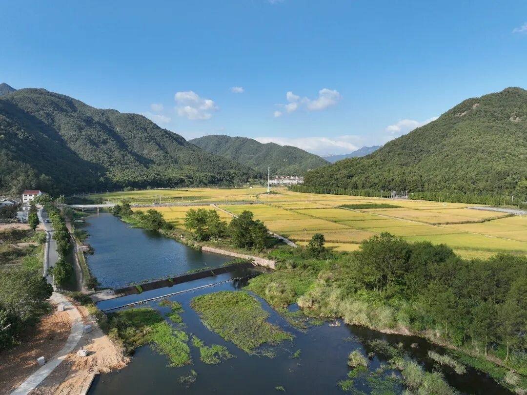 临海小芝溪下网红坝：“水韵+乡野”双buff的影视场景富矿(图5)