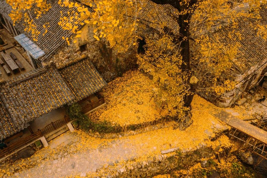 临海小芝胜坑古村：八百年石屋群落里的影视叙事密码