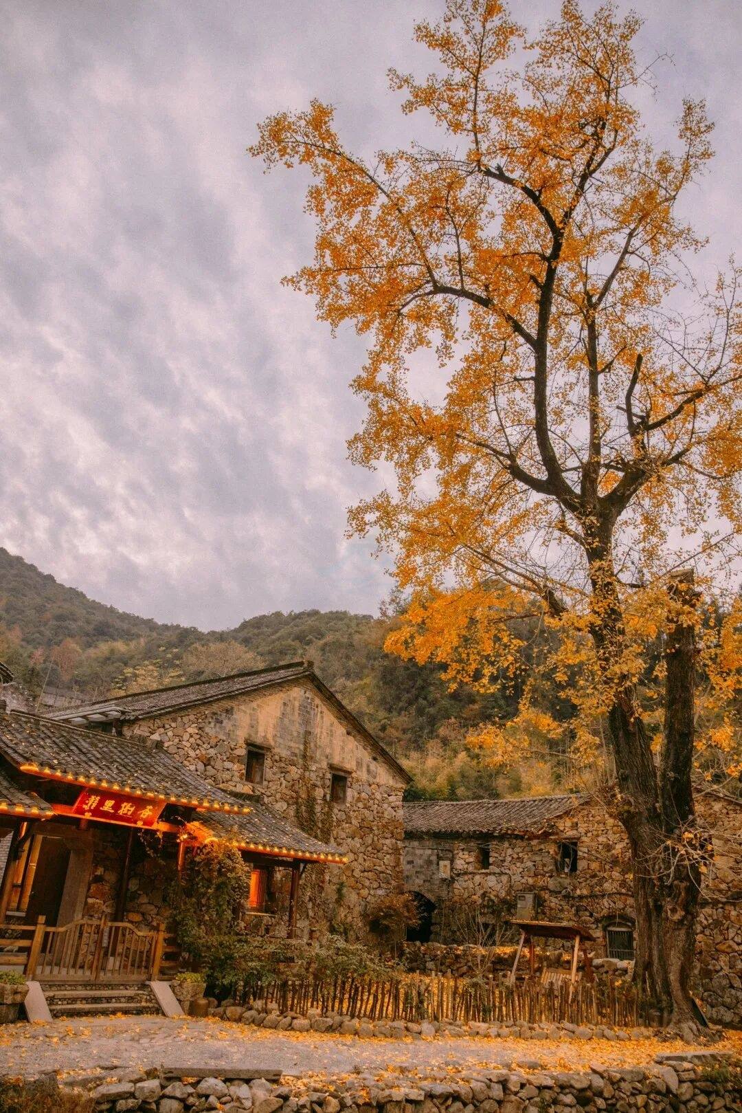 临海小芝胜坑古村：八百年石屋群落里的影视叙事密码(图6)