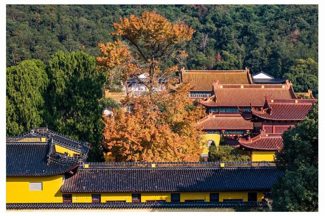 临海涌泉延恩寺：西晋古刹里的影视“历史与禅意”双库(图5)