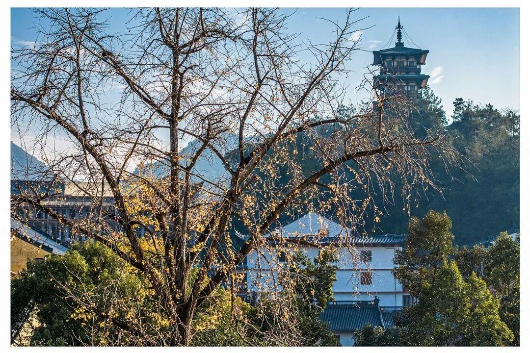 临海涌泉延恩寺：西晋古刹里的影视“历史与禅意”双库(图7)