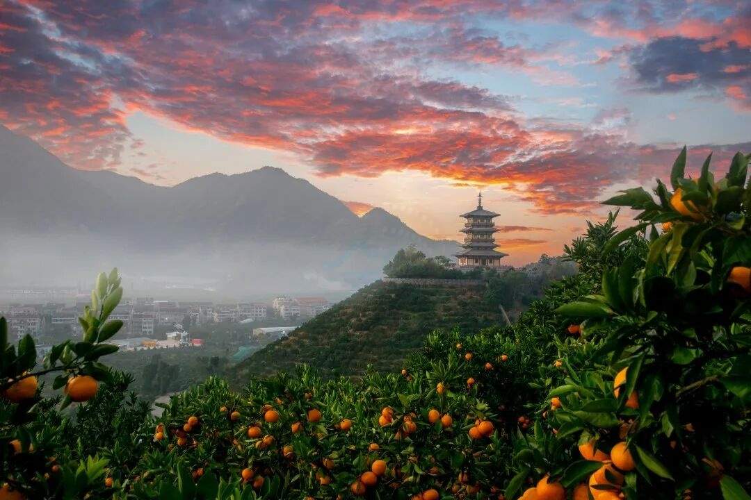 临海涌泉延恩寺：西晋古刹里的影视“历史与禅意”双库(图8)