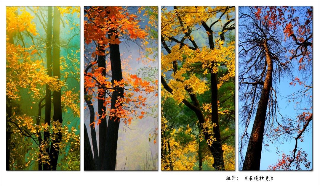 临海茶寮古道：藏在群峦里的宋代“影视时空走廊”