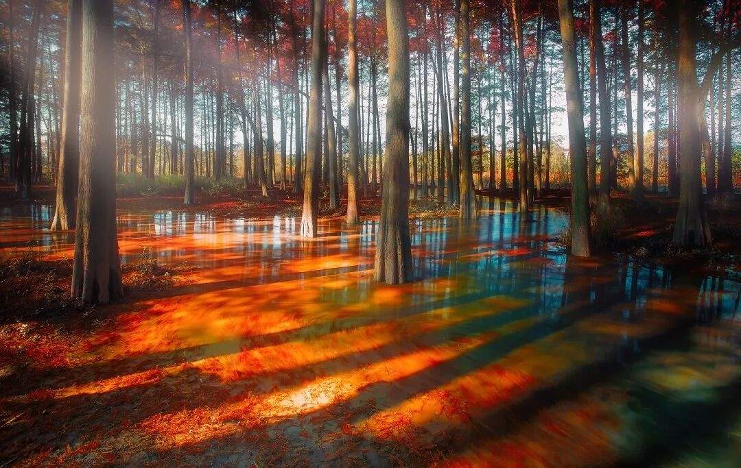 临海茶寮古道：藏在群峦里的宋代“影视时空走廊”(图3)