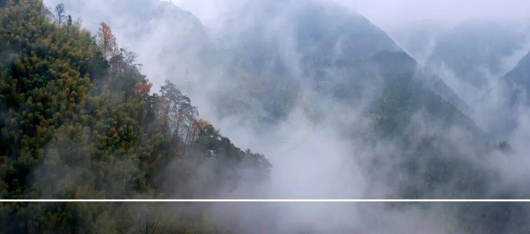 临海茶寮古道：藏在群峦里的宋代“影视时空走廊”(图5)