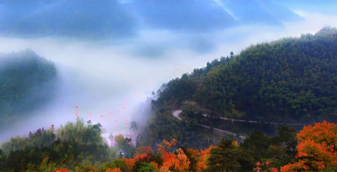 临海茶寮古道：藏在群峦里的宋代“影视时空走廊”(图4)