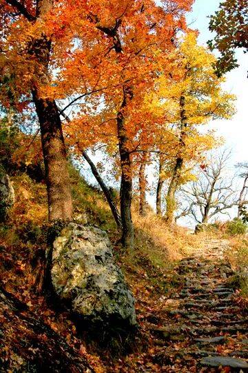 临海茶寮古道：藏在群峦里的宋代“影视时空走廊”(图6)