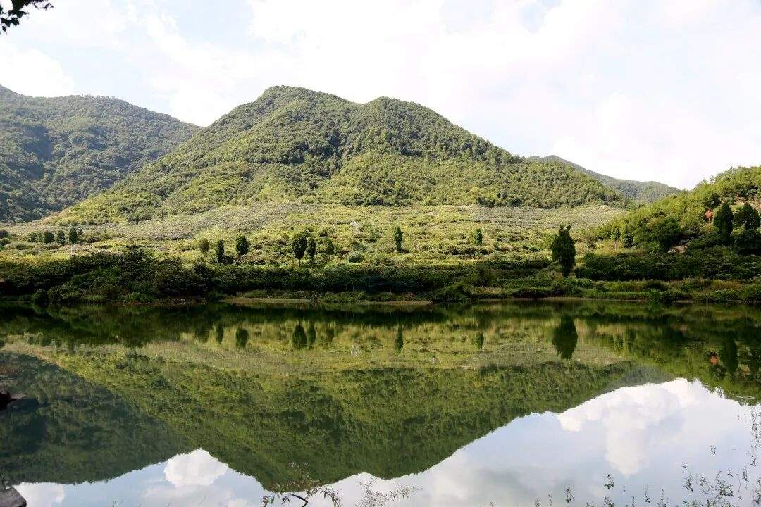 临海永丰水岸营地：山水云间的“自然摄影棚”(图5)