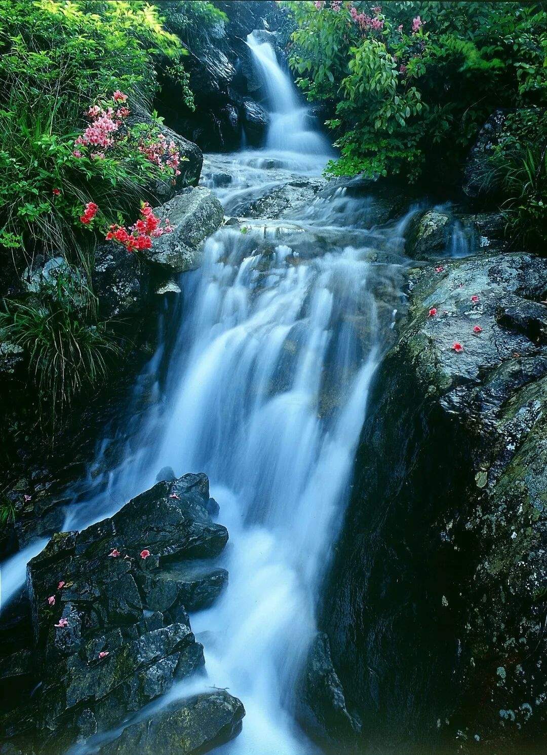 临海括苍黄石坦村：浙东石屋群里的“影视时光胶囊”(图4)