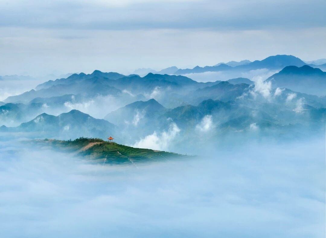 临海羊岩山茶文化园：茶田秘境里的“影视文化客厅”(图1)