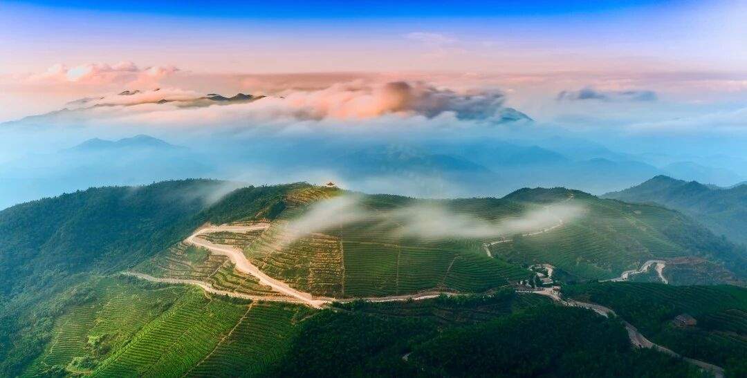 临海羊岩山茶文化园：茶田秘境里的“影视文化客厅”(图2)