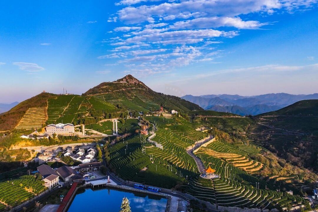 临海羊岩山茶文化园：茶田秘境里的“影视文化客厅”(图3)