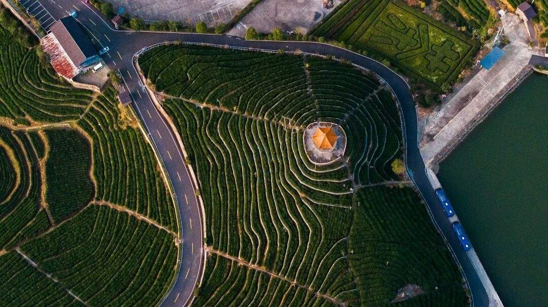 临海羊岩山茶文化园：茶田秘境里的“影视文化客厅”(图6)