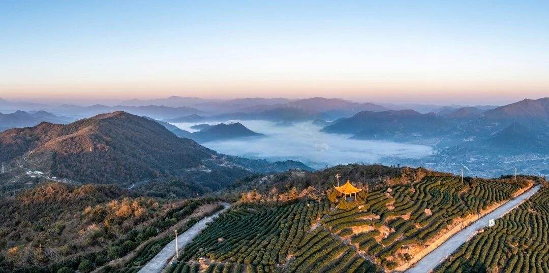 临海羊岩山茶文化园：茶田秘境里的“影视文化客厅”(图5)