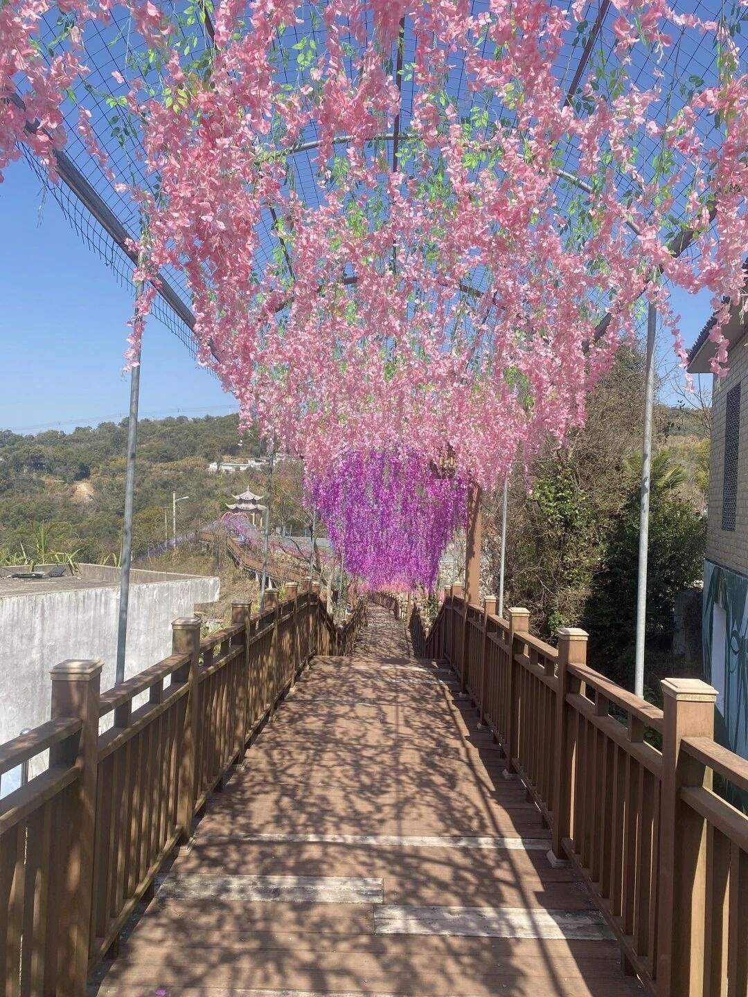 玉环上栈头景区：悬崖边的山海影视剧场 ——1.5公里滨海栈道串起悬崖、海景与浪漫叙事(图14)