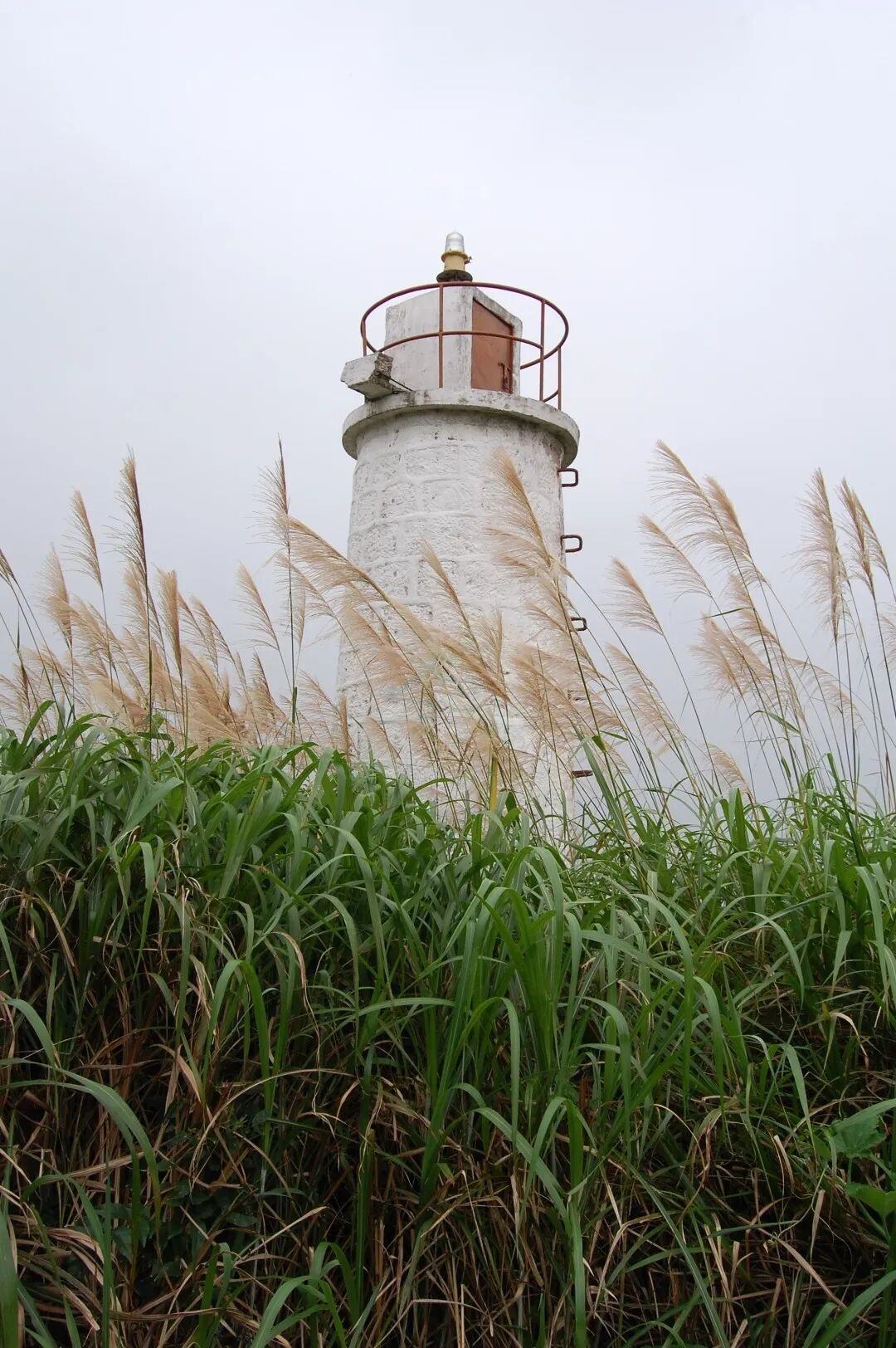 玉环大青岛火了！乐清湾红色遗址藏着多少影视镜头？(图3)