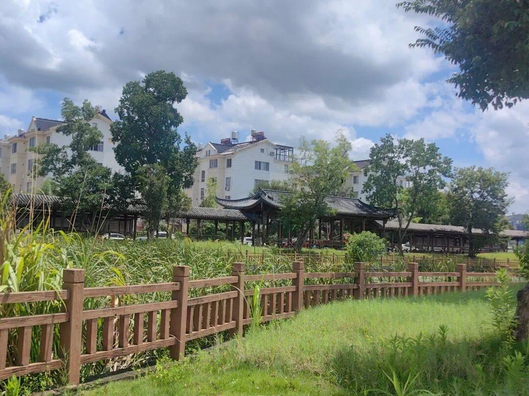 临海大洋庄头文化广场：水乡里的“天然影视诗笺”(图4)