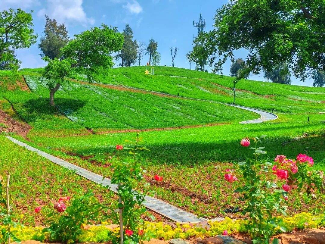 忘忧花园·鸡山理想村：山海田园间的“治愈系影视盲盒”(图2)