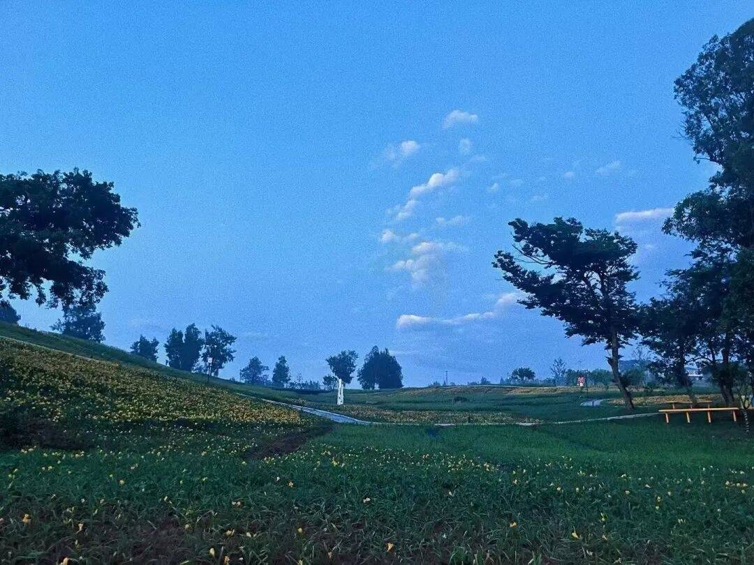 忘忧花园·鸡山理想村：山海田园间的“治愈系影视盲盒”(图3)